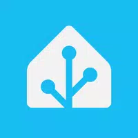 Home Assistant Apk