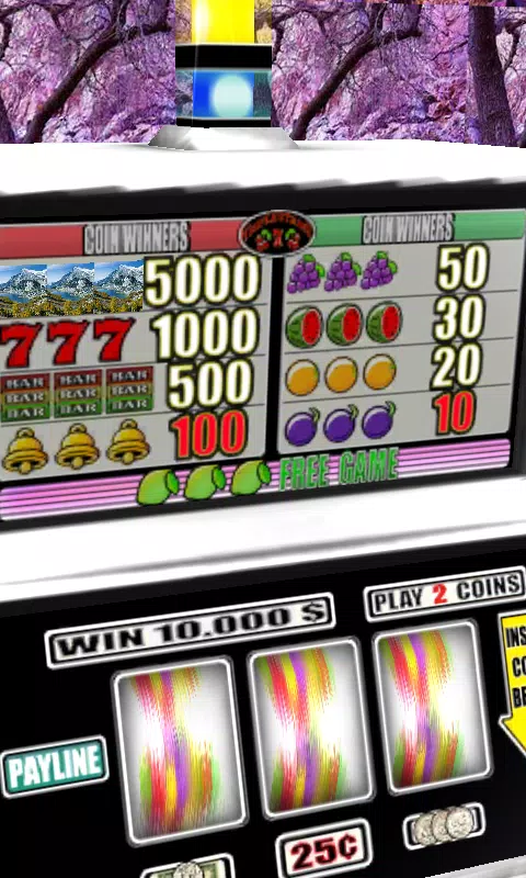 3D Enchanted Wilderness Slots Screenshot2