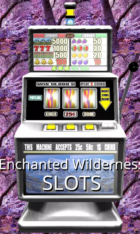 3D Enchanted Wilderness Slots Screenshot1